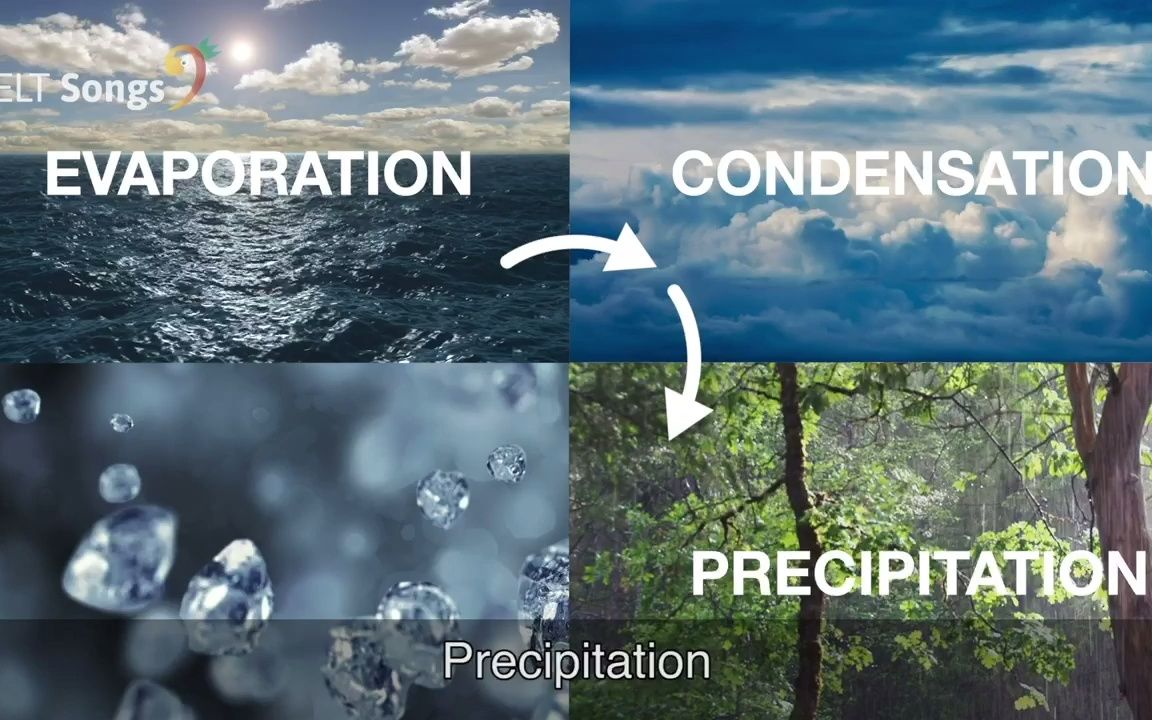 [图]Water cycle song