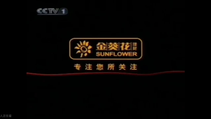 中国光大银行2009年广告