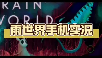 雨世界手机实况