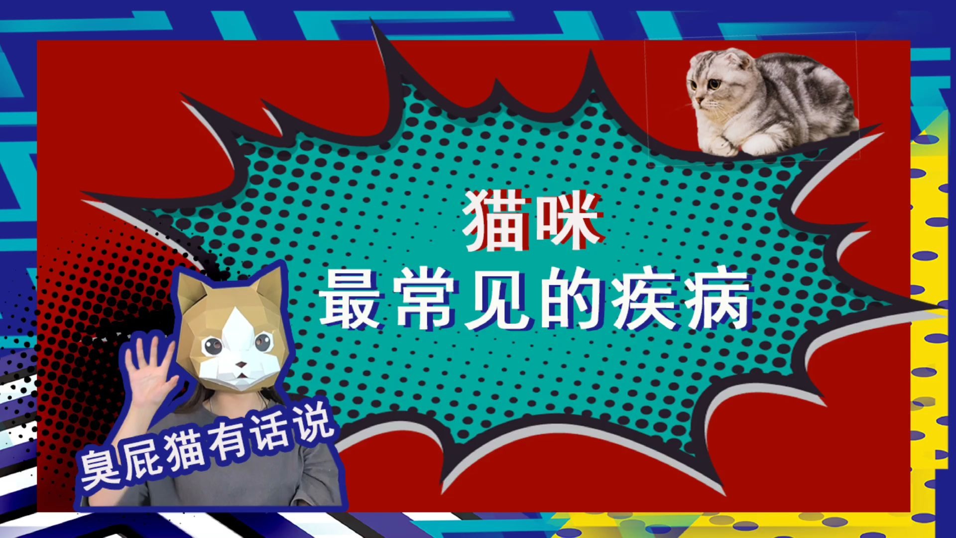 「养猫小知识」猫咪最常见的疾病(一)哔哩哔哩bilibili