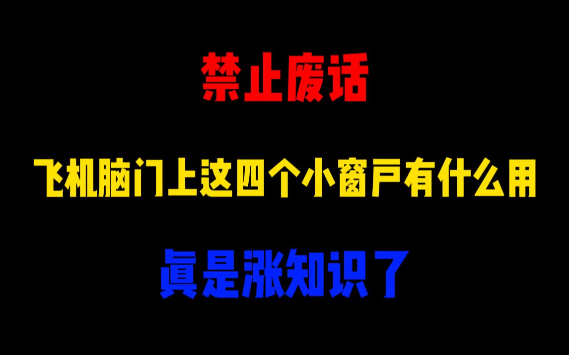 刺猬妈妈是怎么生小刺猬的?他们不怕扎吗?哔哩哔哩bilibili