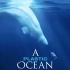 塑料海洋剪辑