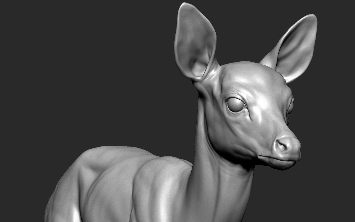 zbrush可爱鹿动物雕刻参考资料,zbrush雕刻资料