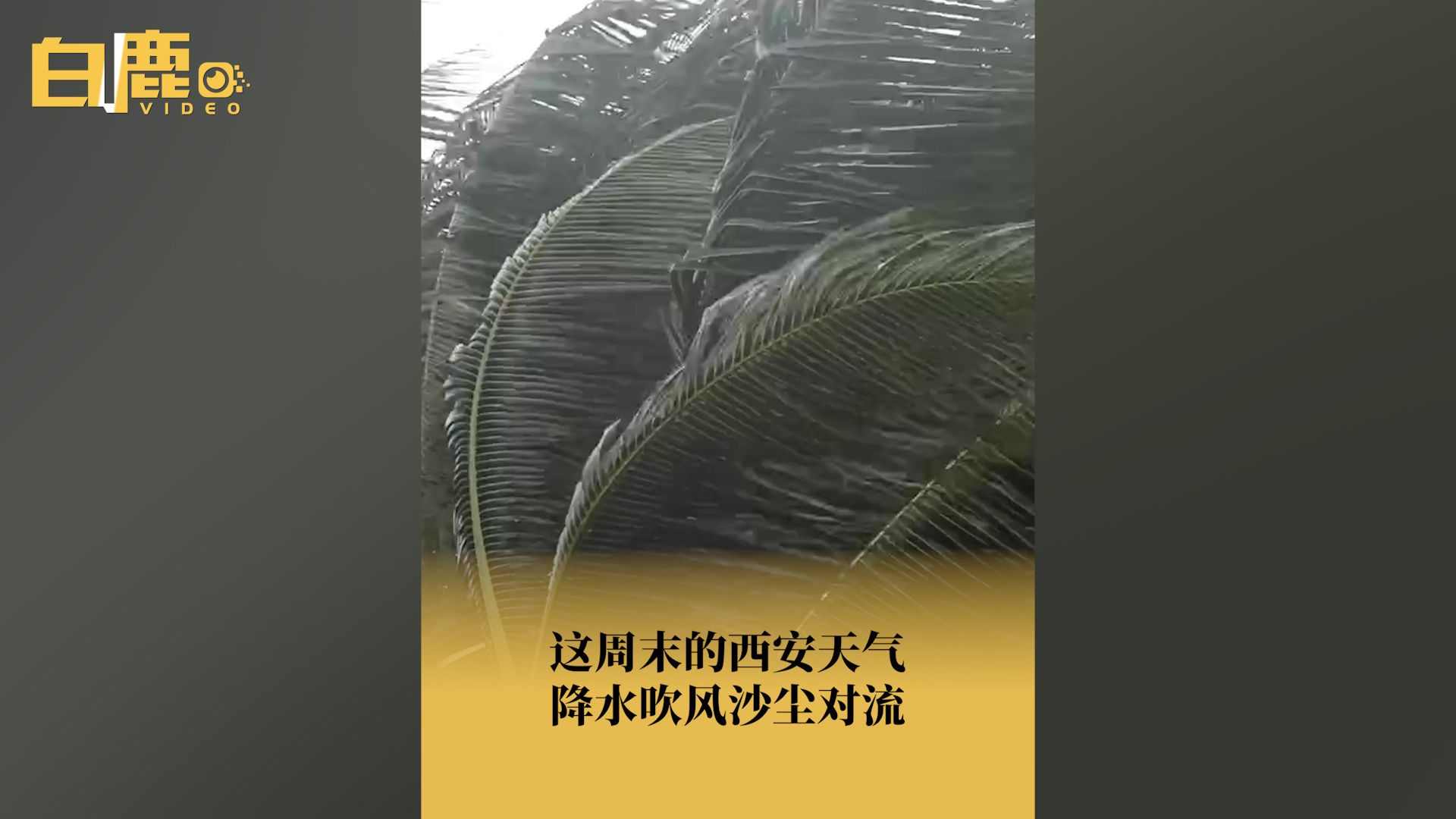 西安本周末将迎降雨又降温哔哩哔哩bilibili