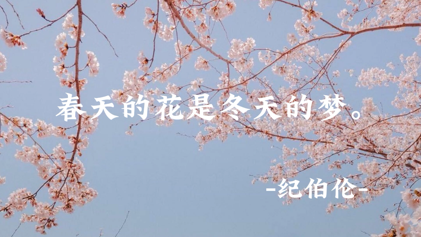 [图]"春天的花是冬天的梦"