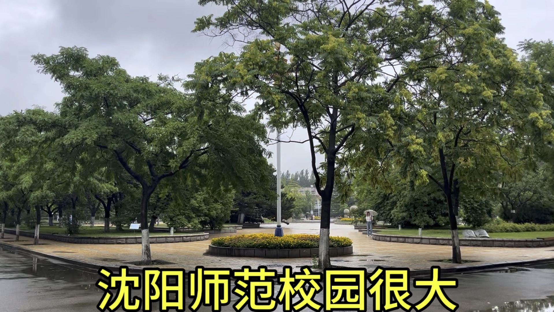 沈阳师范大学校园很大,环境很好啊.