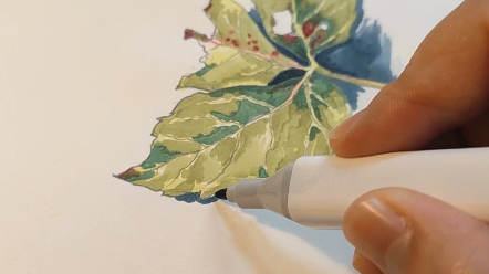 马克笔画几片树叶