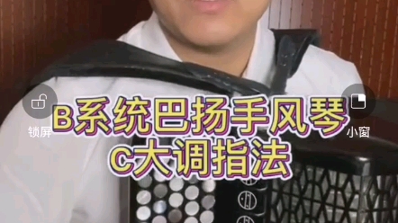 b系统巴扬手风琴c大调指法_哔哩哔哩_bilibili