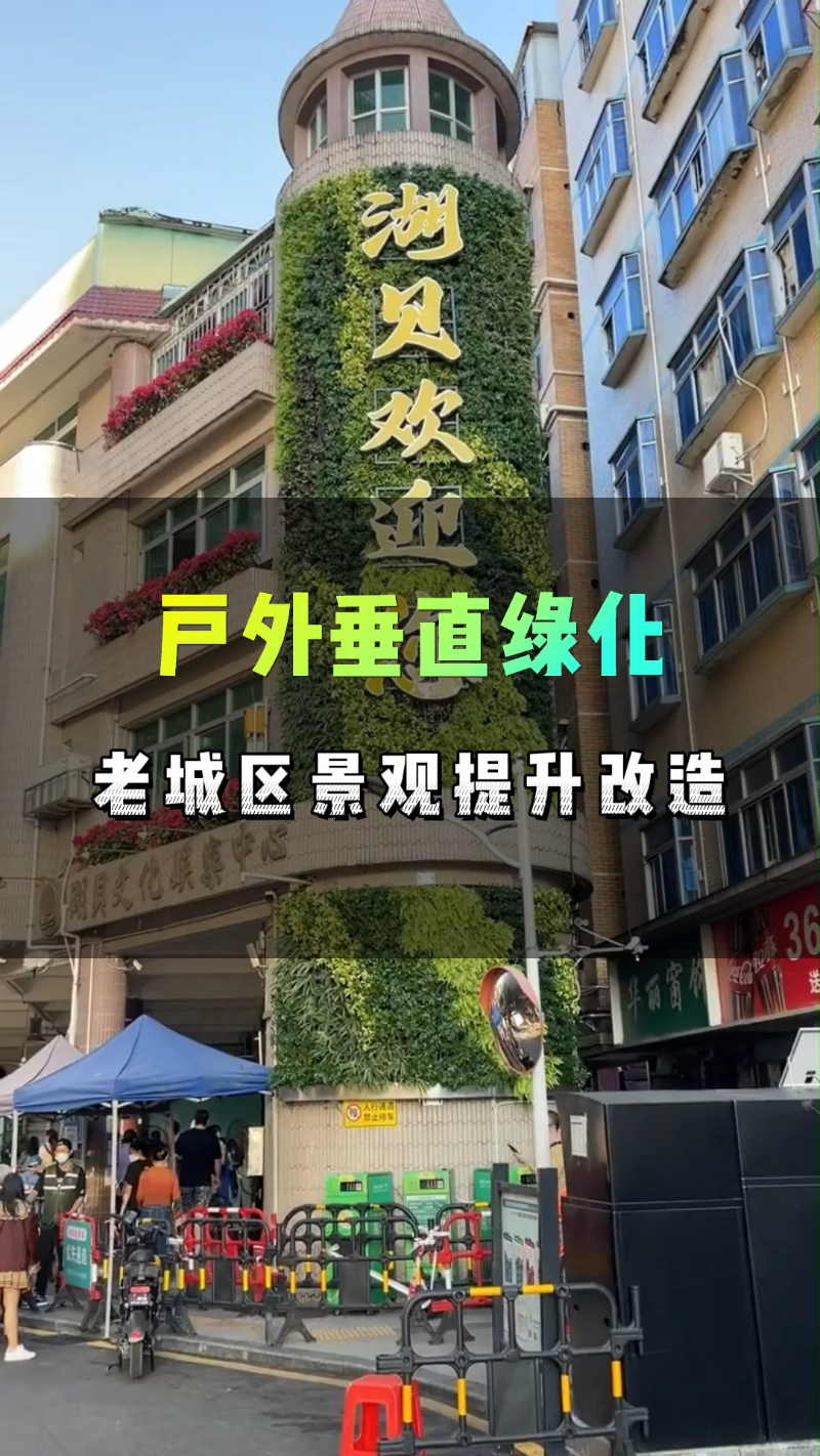 [图]老城区景观改造，建筑物外墙垂直绿化，这一抹绿让这个建筑成为标志性景观 #老城区景观改造 #街道景观提升 #建筑物外墙绿化 #户外垂直绿化 #外墙植物墙