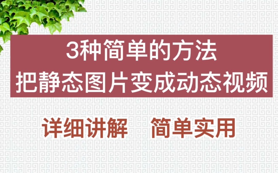 如何把静态图片变成动态视频?教你3种方法,详细讲解,轻松学会哔哩哔哩bilibili