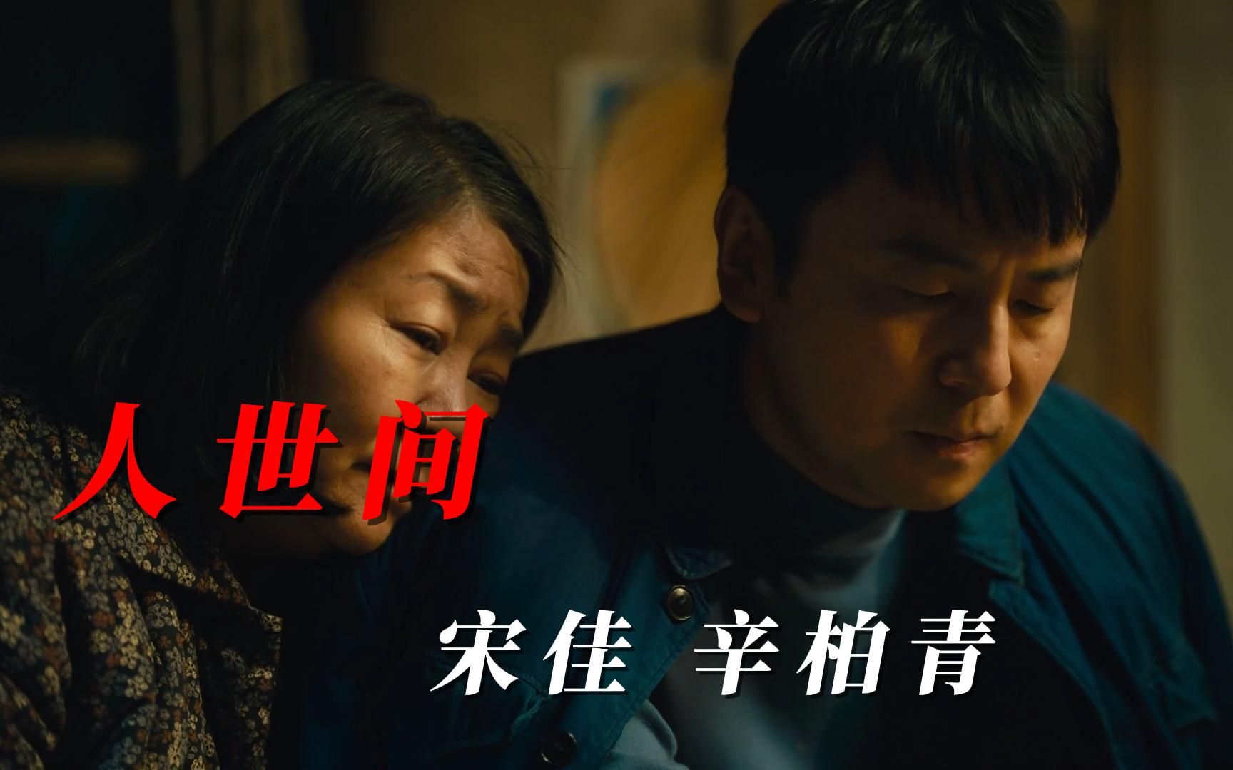 中秋晚会上宋佳,辛柏青合唱的一首《人世间》,唱出多少人的辛酸