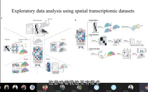 下载视频: 二代测序 空间转录组