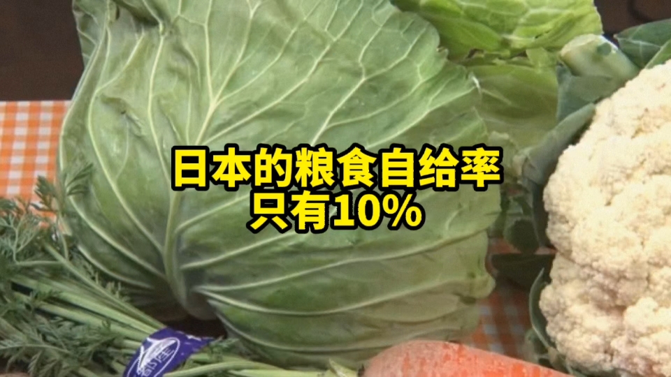 日媒自爆日本的粮食自给率其实只有10%,种子饲料化肥几乎全靠进口哔哩哔哩bilibili