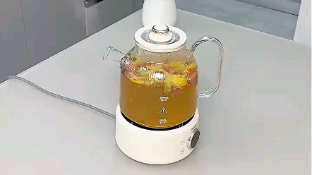 OIDIRE 养生壶 煮茶壶煮茶器 办公室家用玻璃花茶壶烧水壶电热水壶电炖壶茶壶煮茶器煮水壶全玻璃壶体 ODIHC01花茶养生壶【带滤网】哔哩哔哩bilibili