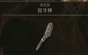 Download Video: 【武器】兽牙棒——艾尔登法环