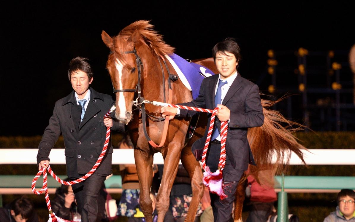 2011年日本中央赛马一级赛集锦上半年篇哔哩哔哩bilibili