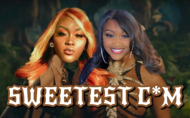 [图]Megan Thee Stallion & Dua Lipa - Sweetest Pie (CupcakKe Remix)