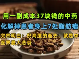 Download Video: 用一副成本37块钱的中药，化解掉患者身上的7处脂肪瘤后，突然明白：倪海厦的逝去，就是中医界最大悲哀。