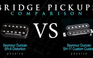 Download Video: 拾音器对比SEYMOUR DUNCAN SH6 DISTORTION vs SH11 - Passive Bridge Pickup