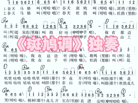 [图]【湘艺版】《斑鸠调》独奏