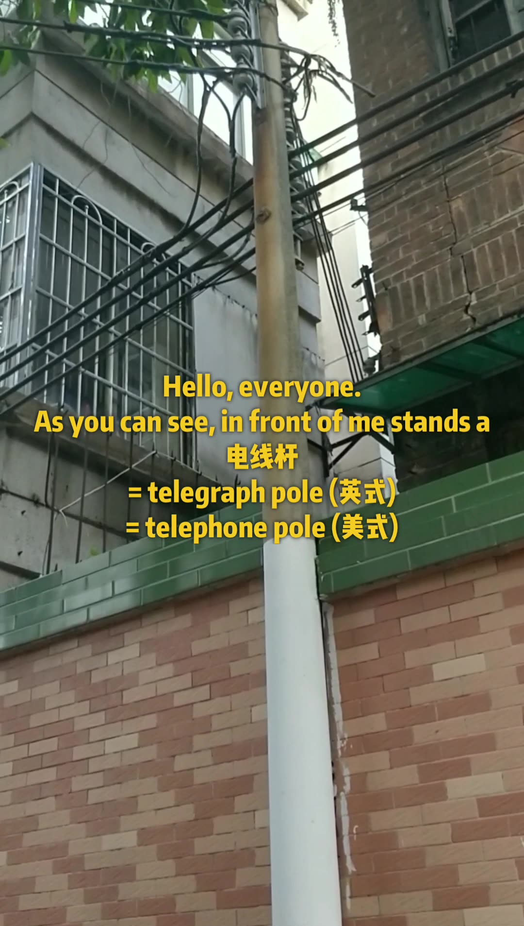 “电线杆”可不是“electricity pole”哔哩哔哩bilibili