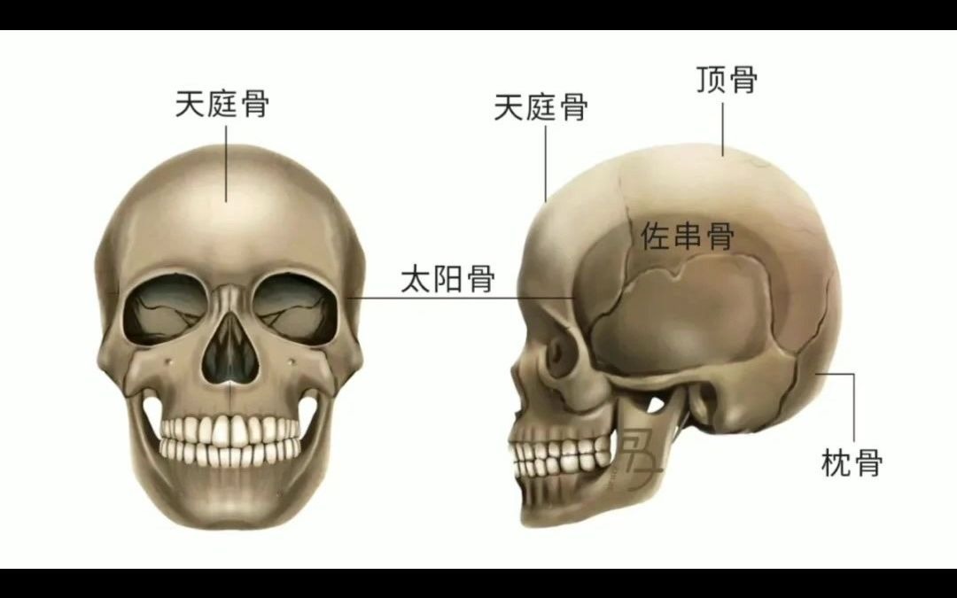 [图]天天面相·曾国藩《冰鉴》之头骨相实战解读（上）