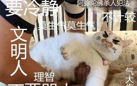 楼楼大集锦哔哩哔哩bilibili