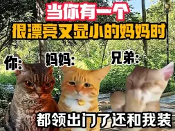 Download Video: 《猫meme小剧场》当你有一个很漂亮又显小的妈妈时！