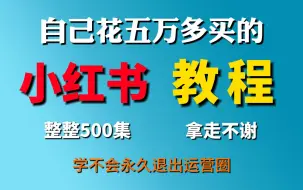 【2024B站最强小红书运营系统教程】吊打一切付费课!小红书蓝海市场 2024最值得做的新媒体平台