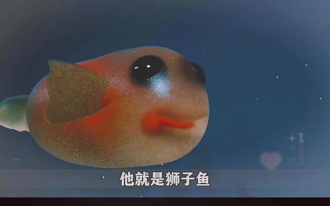 马里亚纳海沟最深处,有什么恐怖生物?哔哩哔哩bilibili