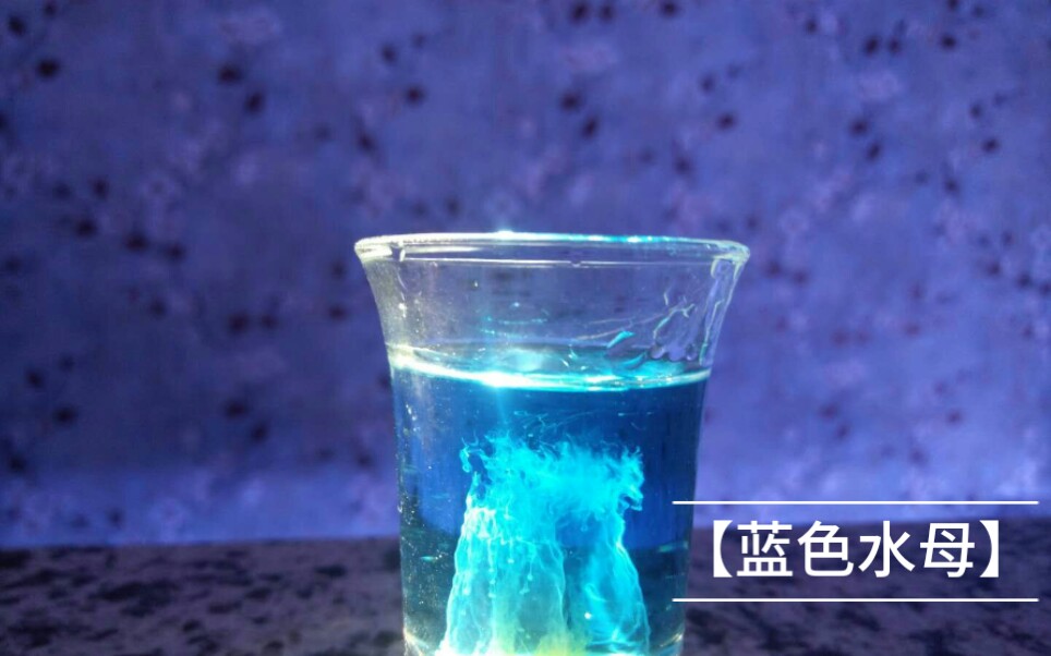 蓝色水母鸡尾酒