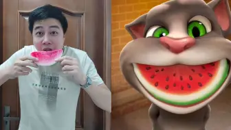 会说话的汤姆猫：小强模仿汤姆猫与金杰猫，睡觉玩足球