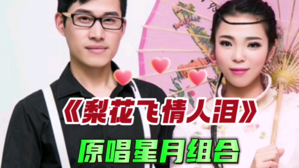 星月组合经典情歌《梨花飞情人泪》旋律优美,诗情画意真好听!