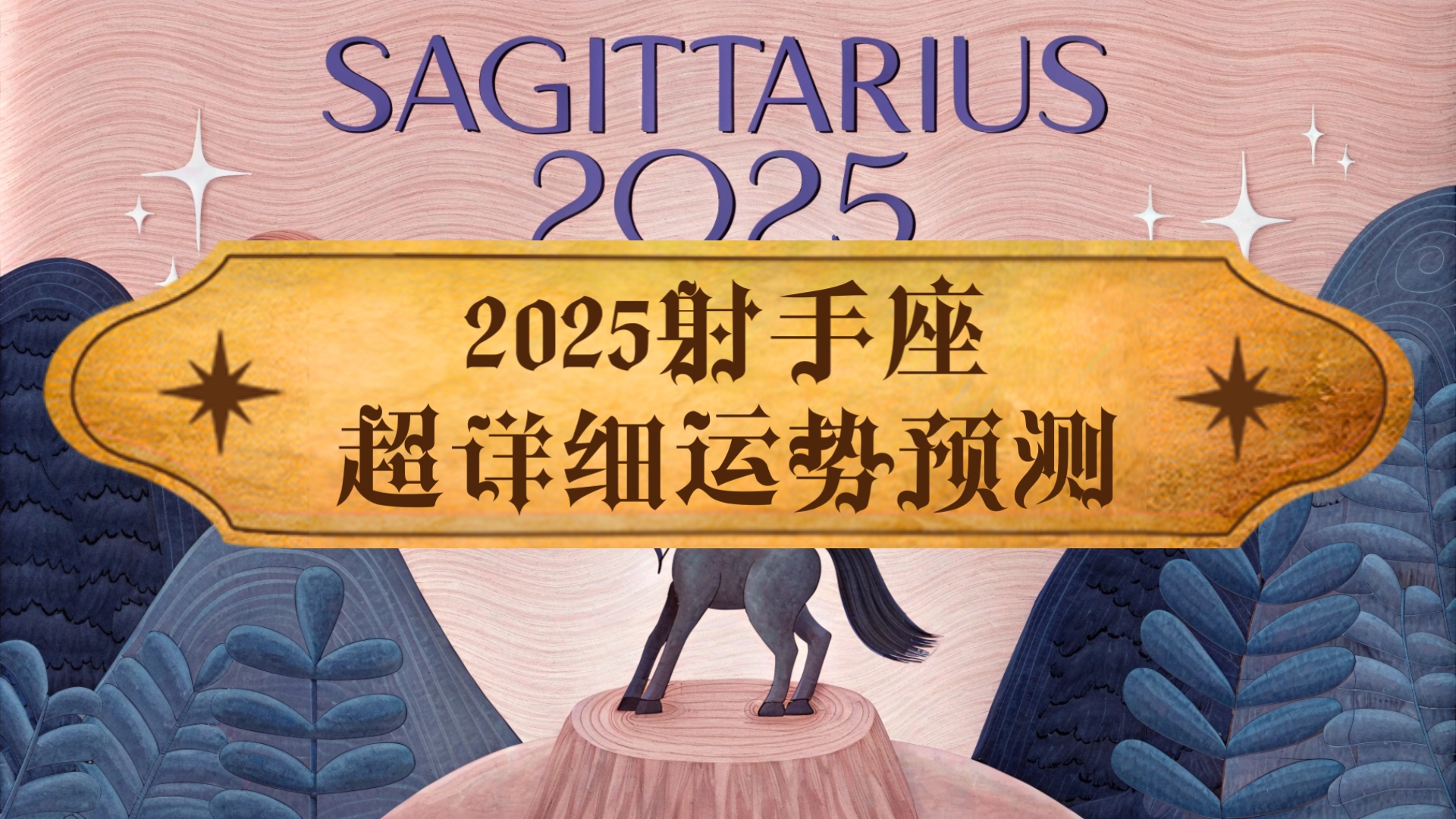 2025年12星座之射手座巨详细运势预测哔哩哔哩bilibili