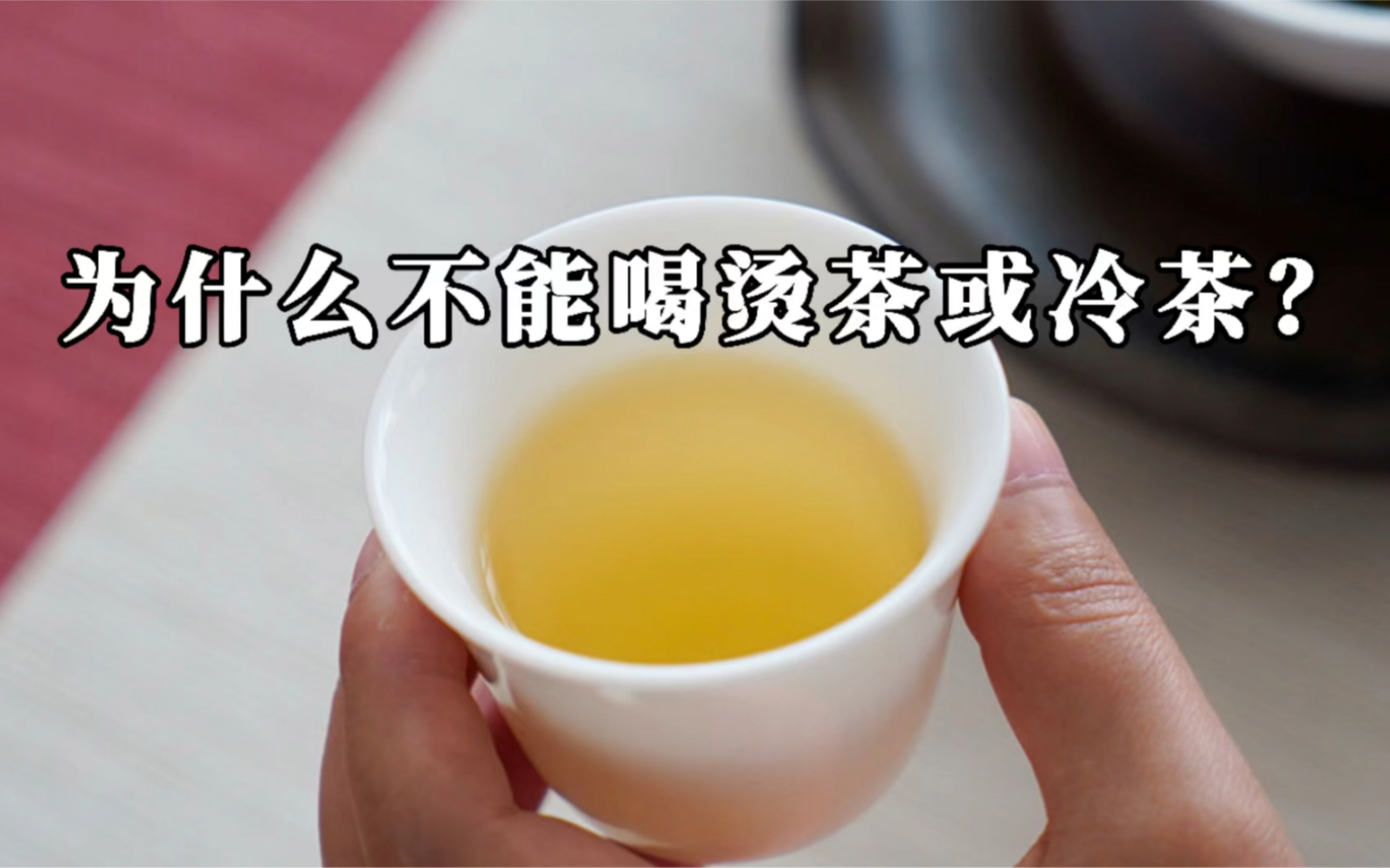 「第108期」普洱茶为何不能喝烫或冷茶?有什么坏处?你了解吗?哔哩哔哩bilibili