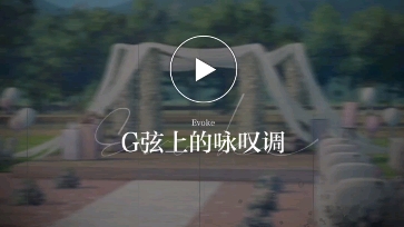 陆沉心为形役轨迹卡哔哩哔哩bilibili