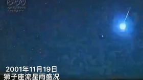 白白说星座 讲讲星座cp 狮子白羊 处女摩羯 水瓶双子 白羊射手 白羊处女 哔哩哔哩 つロ干杯 Bilibili