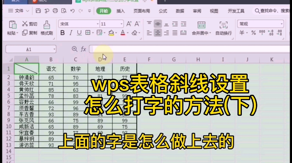 wps表格表头斜线一分为二怎么设置怎么弄打字的方法(下)哔哩哔哩bilibili