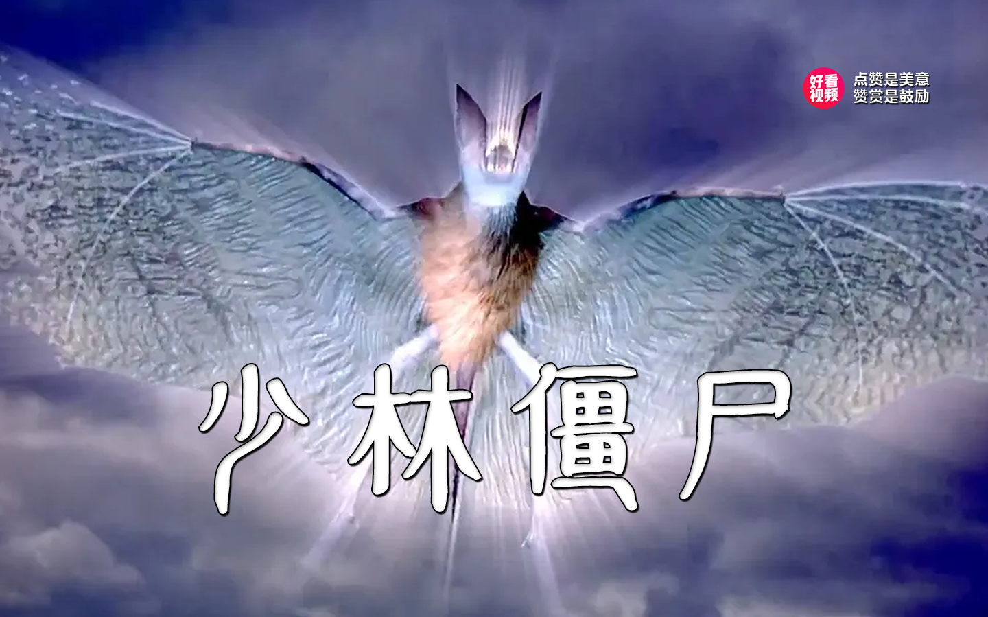 《少林僵尸》讲述了清朝年间,僵尸出没于少林,寺内主持智远大师请来