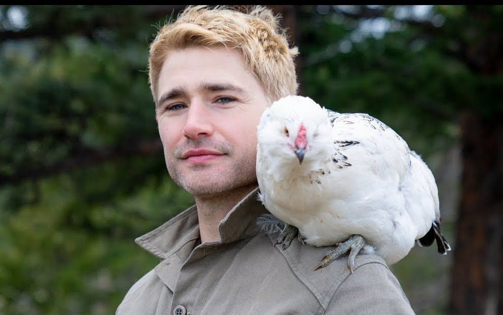 matt_blue_crow的微博_微博