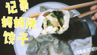 韭菜鸡蛋饺子 包饺子 包饺子 捏捏捏 放进锅里 盖盖子 煮饺子 煮饺子 煮饺子 香喷喷 端上饺子 配好料 吃饺子 哔哩哔哩 Bilibili