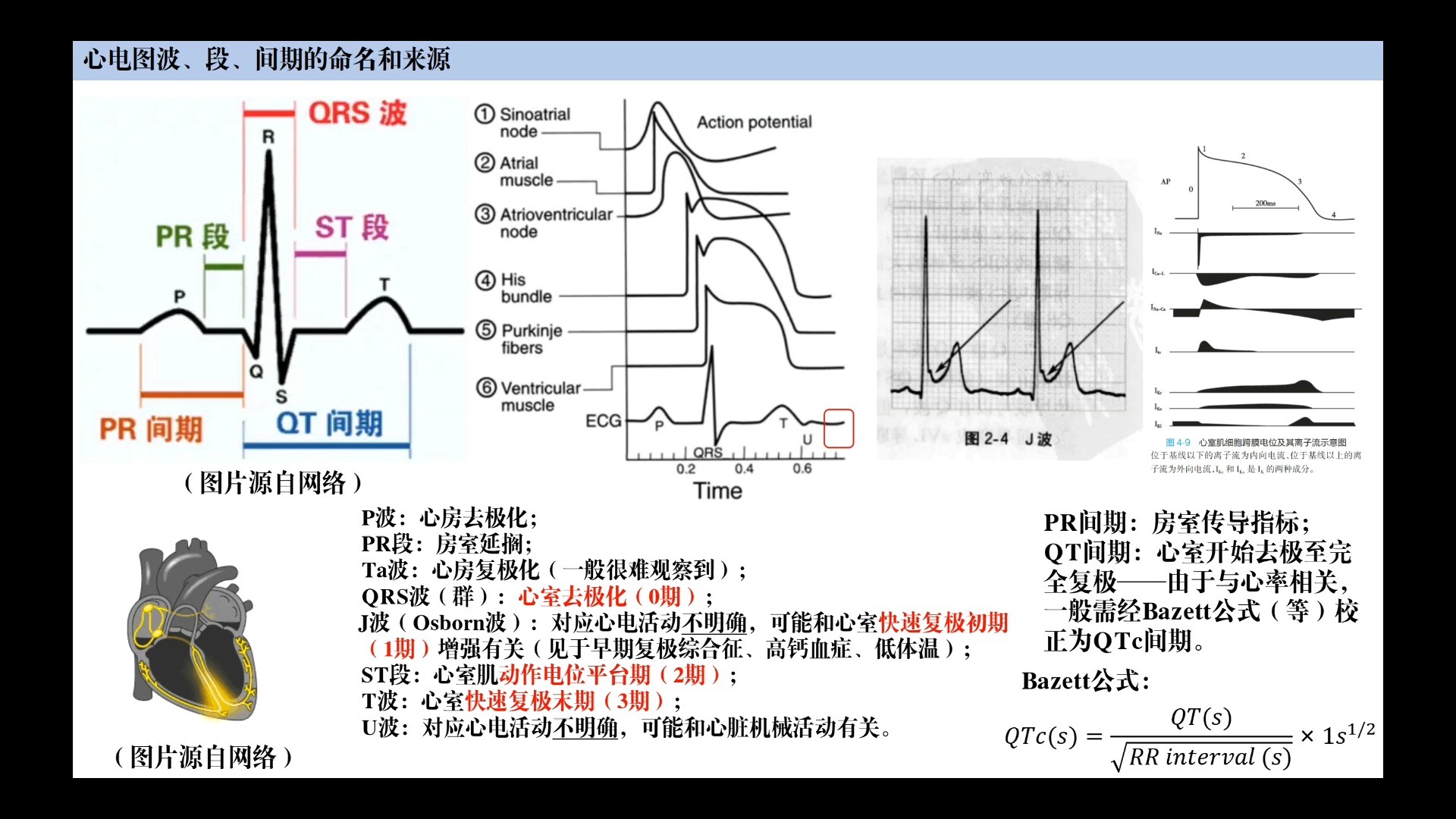 心电图基础2:心电图波、段、间期的命名、来源、改变哔哩哔哩bilibili