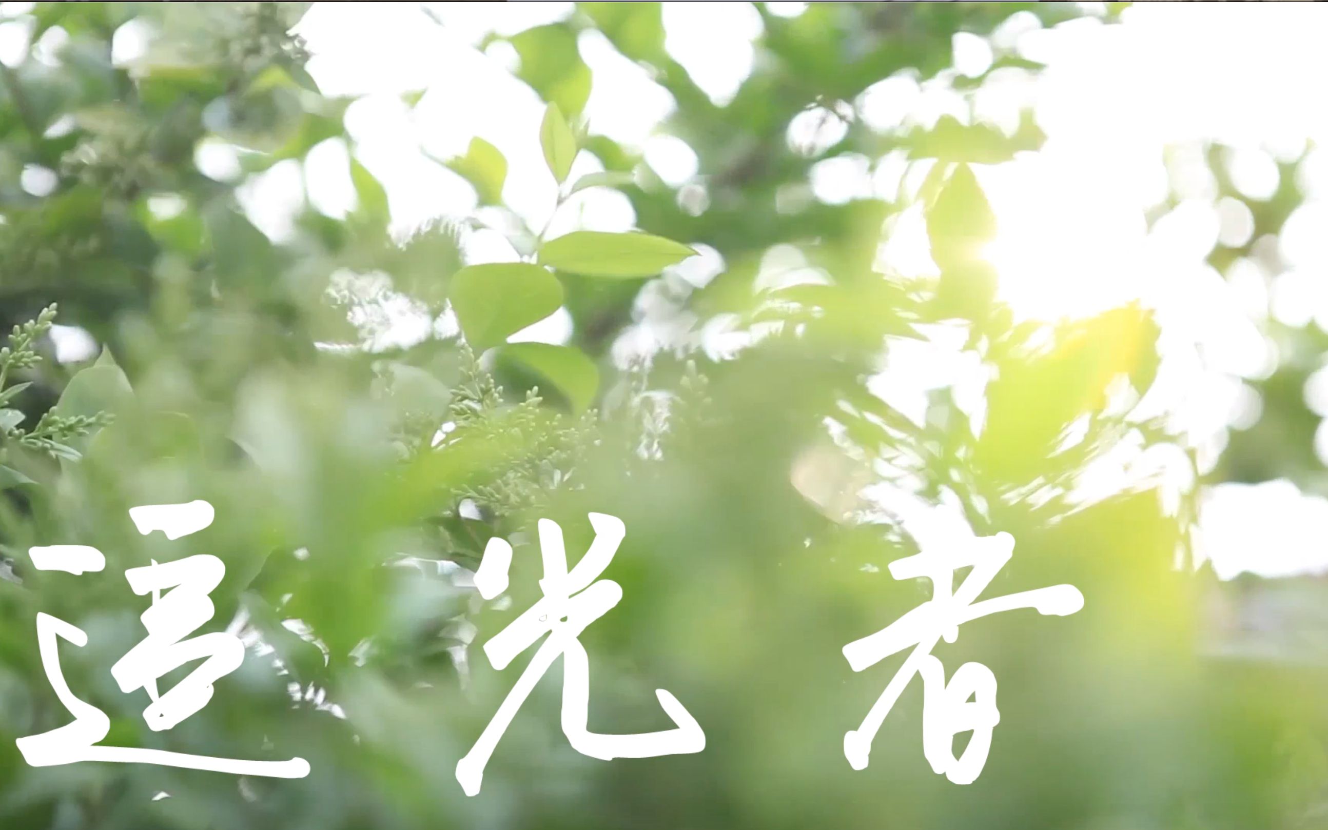 追光者MV