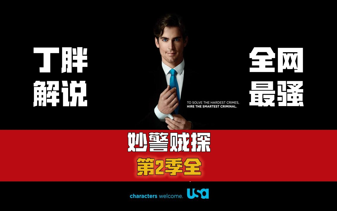 【非ai解说】【丁胖肝全季】【妙警贼探】第二季