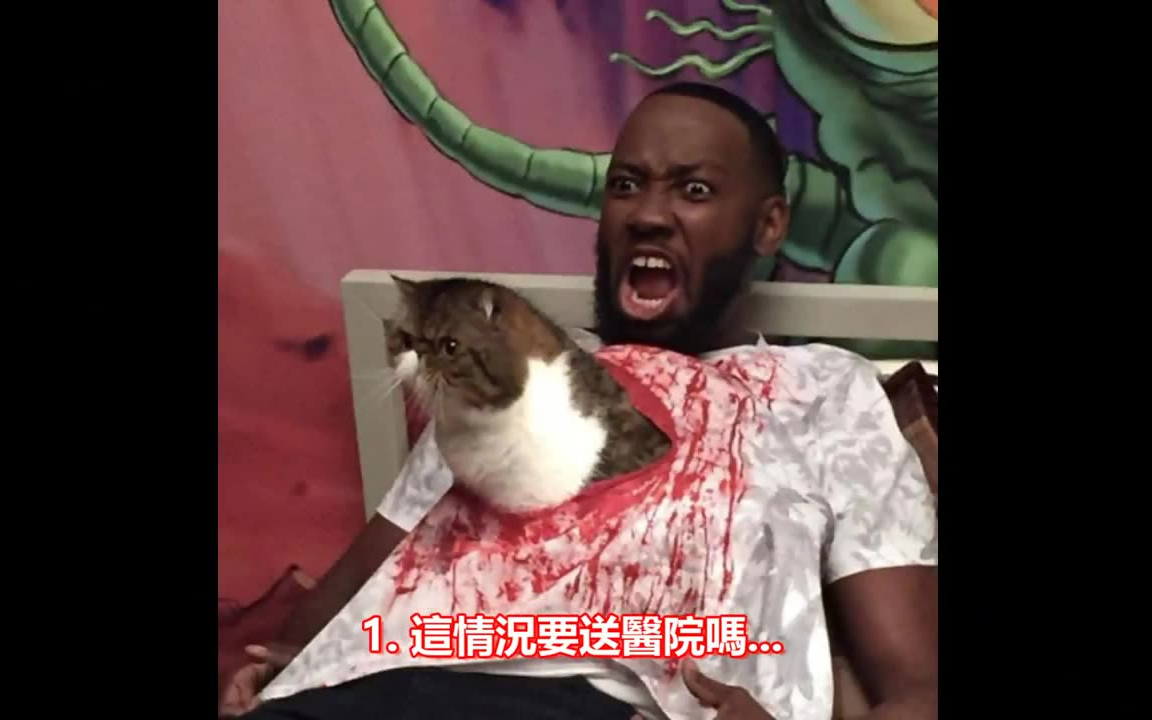 20张「会让你忍不住笑喷饭」的超爆笑梗图!_哔哩哔哩_bilibili