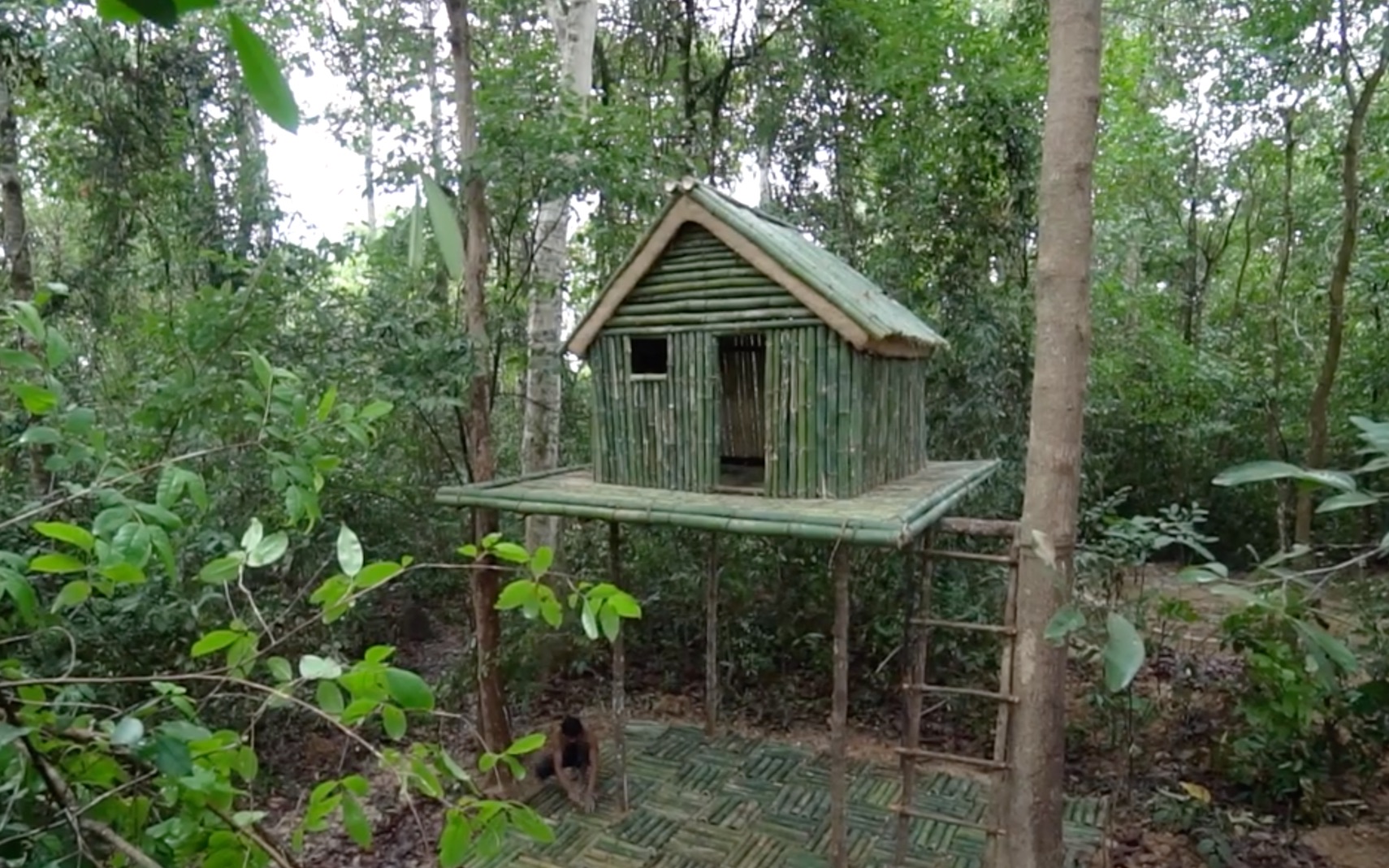 primitive survival:用古老的技艺建造最美的丛林竹屋别墅(jungle