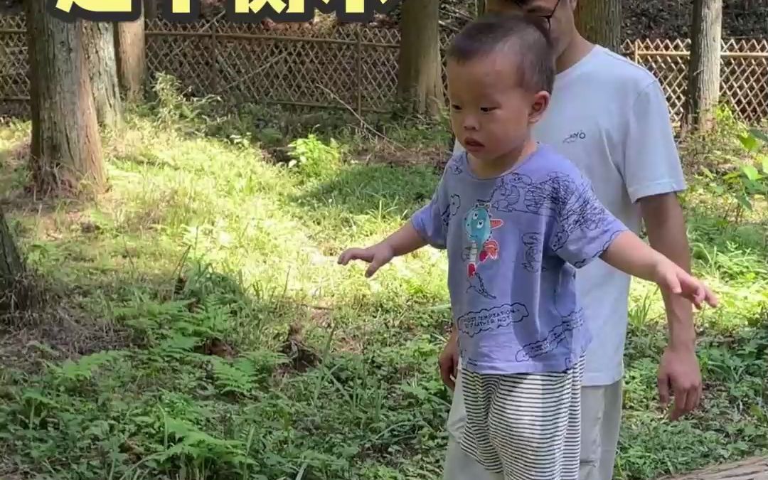 户外遛娃,遇到倒地的树干,走平衡木锻炼宝宝的勇气、坚持、专注力和平衡感#育儿#早教#亲子户外运动#亲子游戏哔哩哔哩bilibili