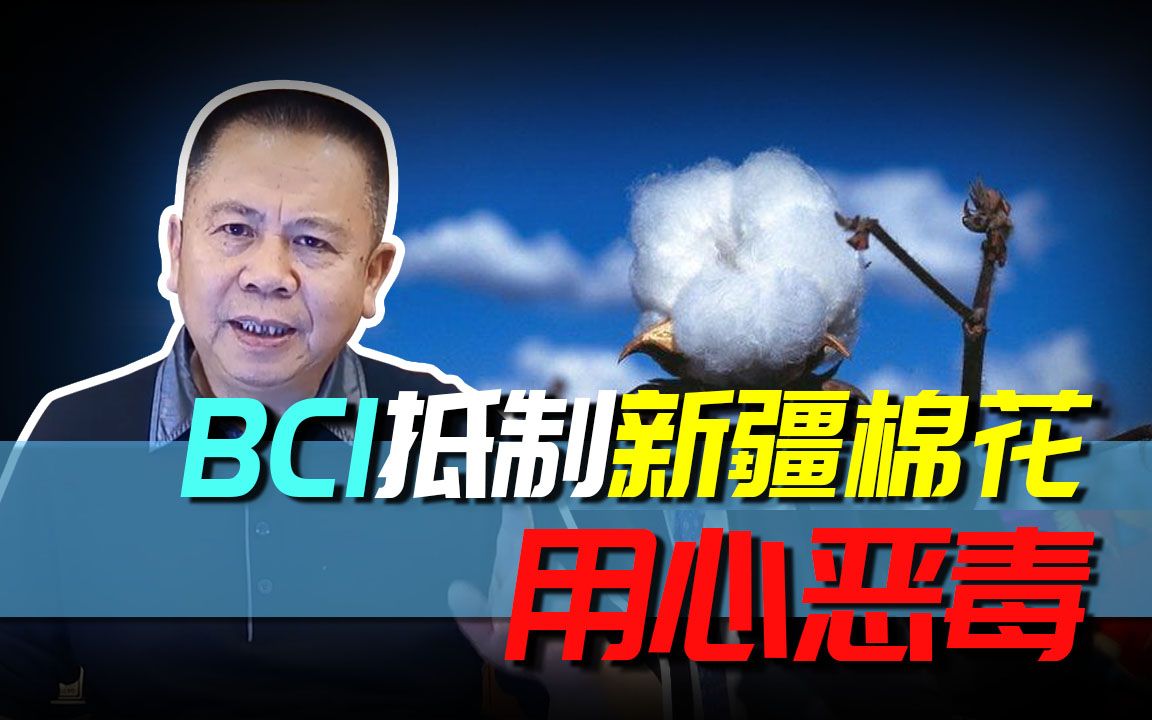 BCI抵制新疆棉花用心恶毒,真实目的是配合美国搞垮中国纺织产业!哔哩哔哩bilibili