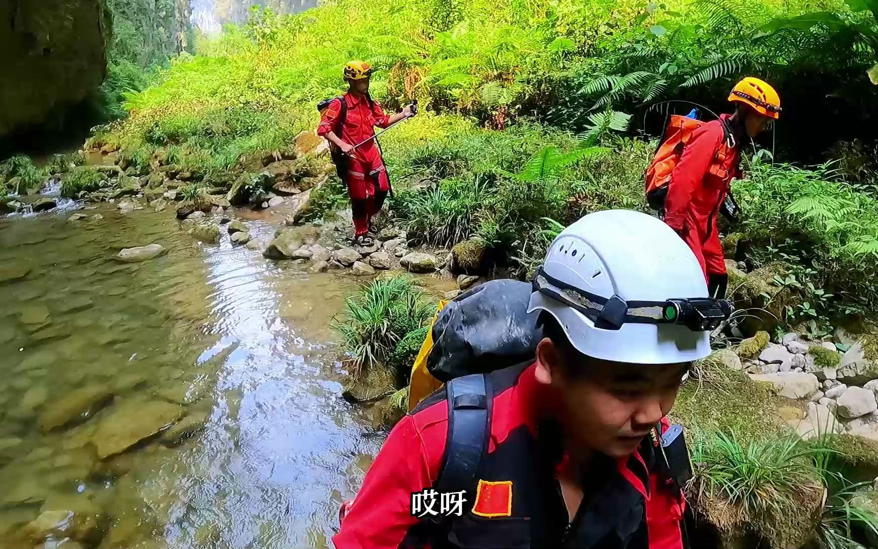 [图]探索重庆天坑底下神龙洞，洞中发现植物，真的像老乡说的通新田吗