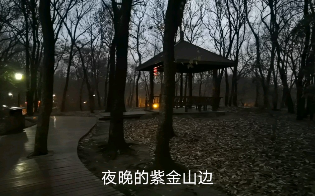 [图]夜晚的紫金山边，幽静，灯光闪闪景色美